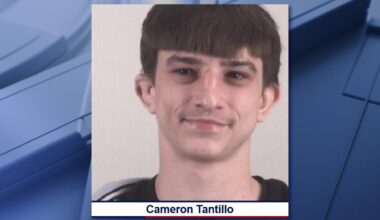 Arlington 17-year-old arrested for supplying gun that killed 14-year-old friend