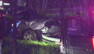 Driver dies after vehicle loses control on South Loop
