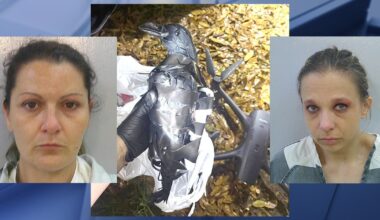 Texas women used crow drones to fly drugs into Louisiana prison, authorities say