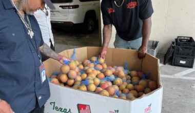 In Austin’s health system, food is part of the treatment