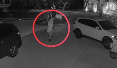 Multiple vehicles burglarized and stolen in NW Austin; police consider suspects 'dangerous'