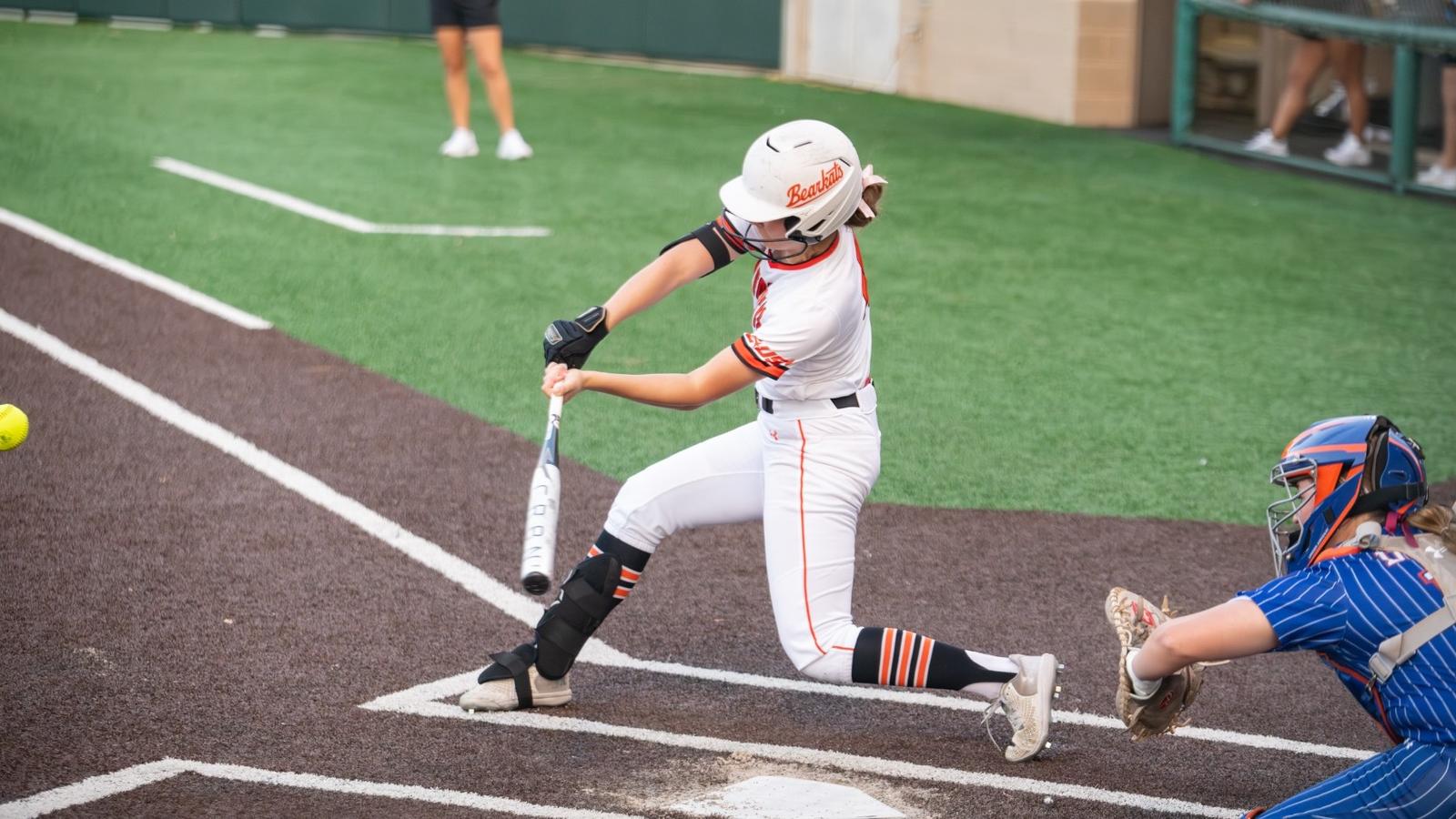 NM State Pete head logo