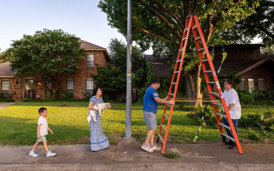Riley Eiguren, in blue, helping his neighbor Bret Corum, in white, position a ladder to cut an overhanging branch as Eiguren’s wife, Julie Nguyen, and son Aidan look on at about 7:30 p.m. May 31st, 2025 in far North Dallas.