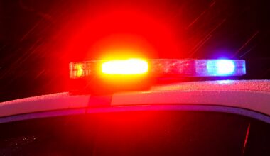 Man, 36, identified as person who died after being hit on highway ramp in Arlington