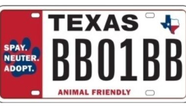 New Texas Animal-Friendly license plate design supports spay/neuter initiatives