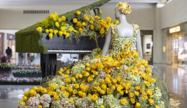 Fleurs de Villes To Bring Floral Flair to NorthPark Center