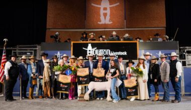 Winning Houston Rodeo lamb auctioned for record $1 million