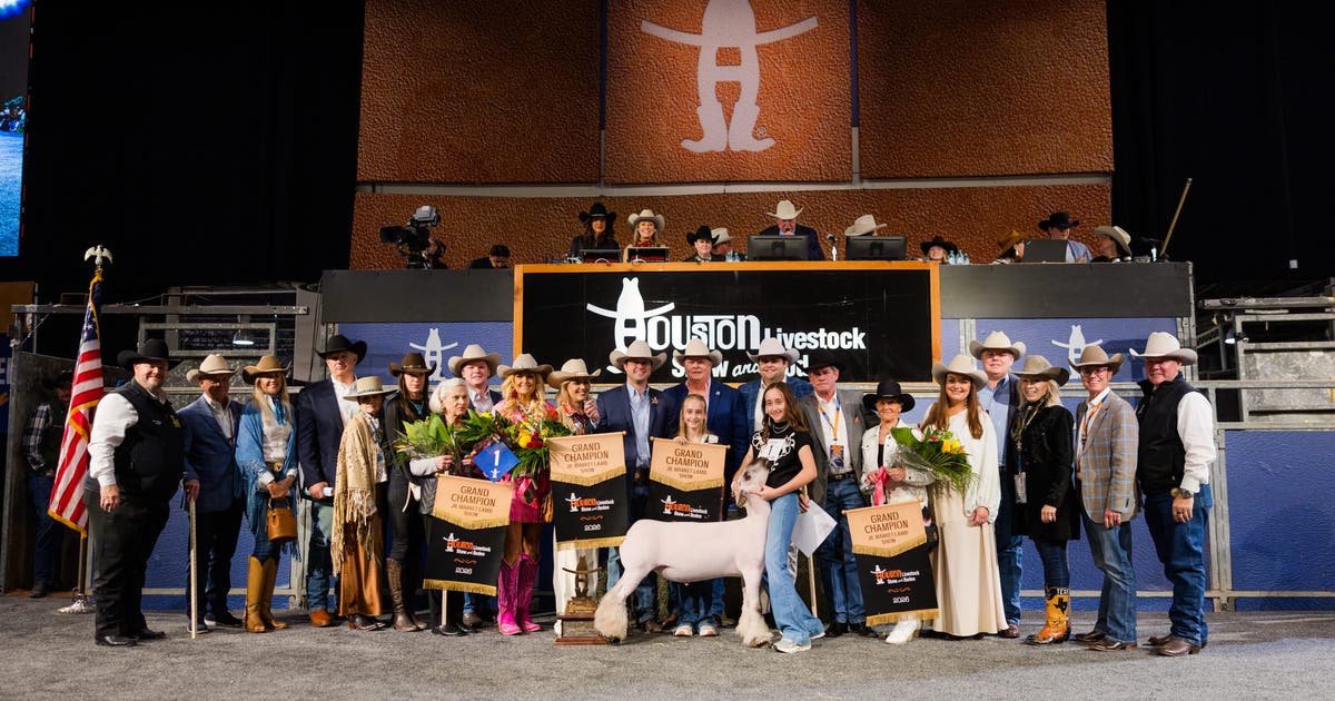 Winning Houston Rodeo lamb auctioned for record $1 million