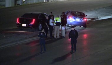 Former Dallas police union president pleads guilty after lying about fatal crash