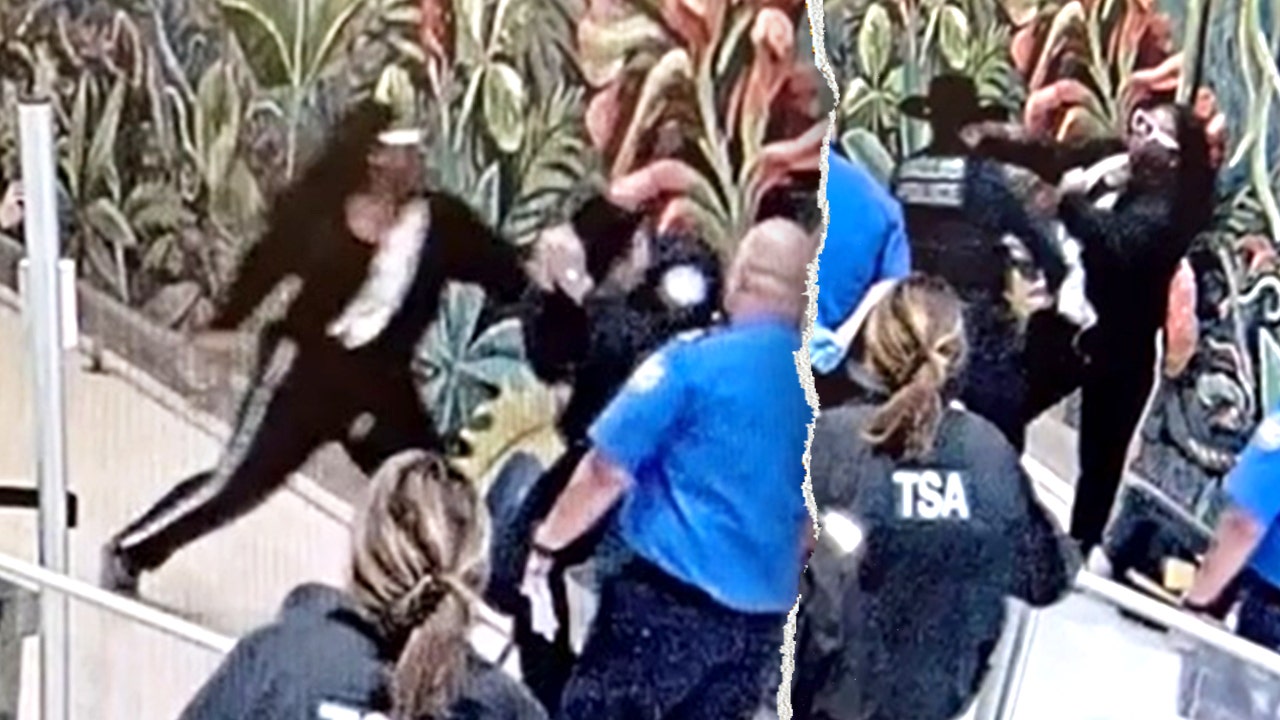 California man charged for allegedly attacking TSA, police at Dallas airport