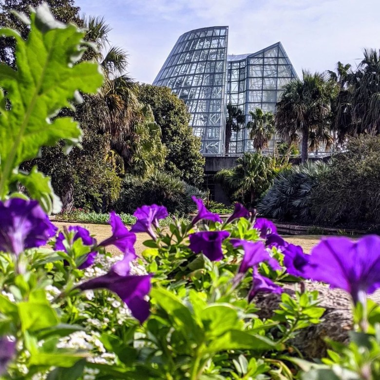 The San Antonio Botanical Garden's Spring Plant Sale is taking place Saturday and Sunday.
