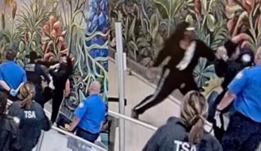 Man accused of attacking officers at Dallas airport in dispute over lack of ID