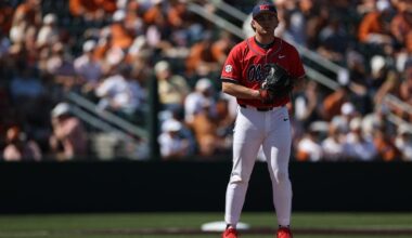 University of Texas Logo