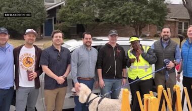 Group of fathers buy vehicle for beloved crossing guard after her car broke down