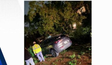 Falling tree hits occupied vehicle in Harris County as strong winds move in Sunday night