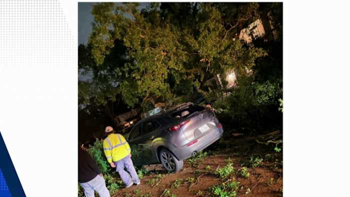 Falling tree hits occupied vehicle in Harris County as strong winds move in Sunday night