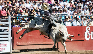 Bull rider survives rare heart injury after Rodeo Austin accident