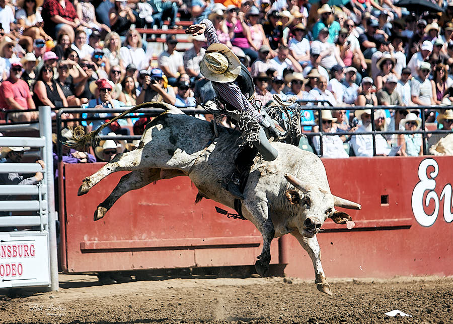 Bull rider survives rare heart injury after Rodeo Austin accident