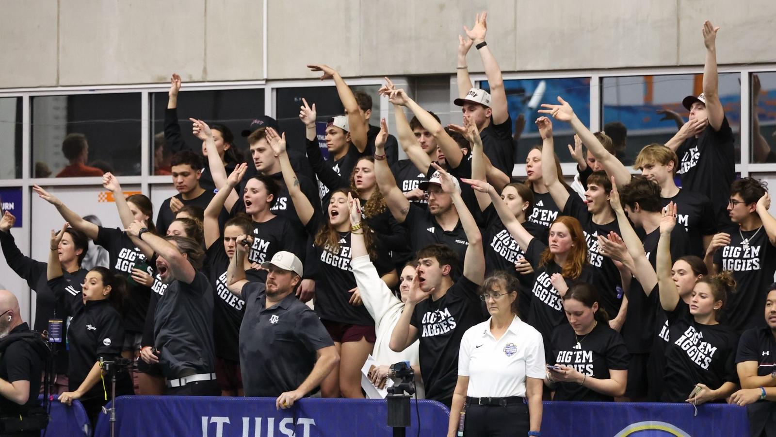 Jaxon Bowshire diving on platform at NCAA Championships