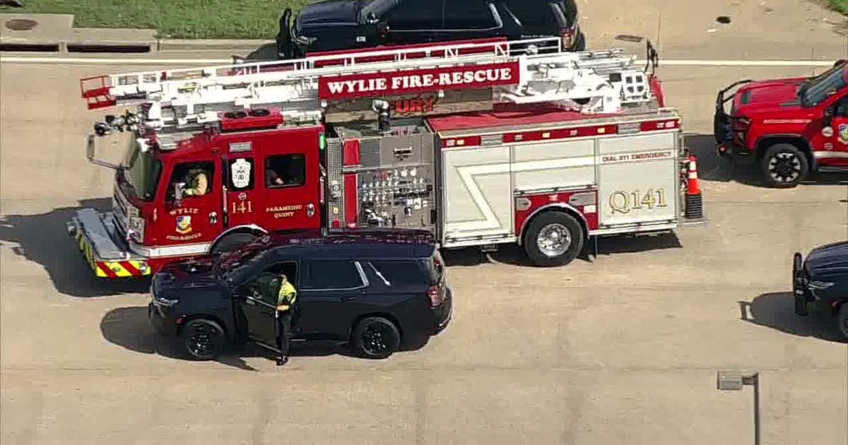 Wylie pedestrian dies after hit by pickup truck