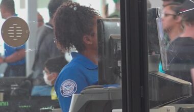 DFW and Love Field TSA Wait Times: What to expect as agents go unpaid