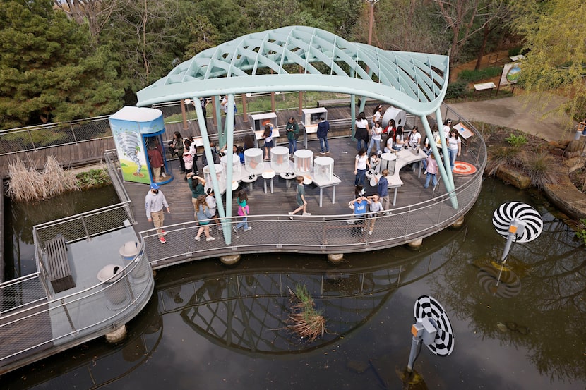 Dallas ISD fourth graders visit the Dallas Arboretum's Rory Meyers Children's Adventure...