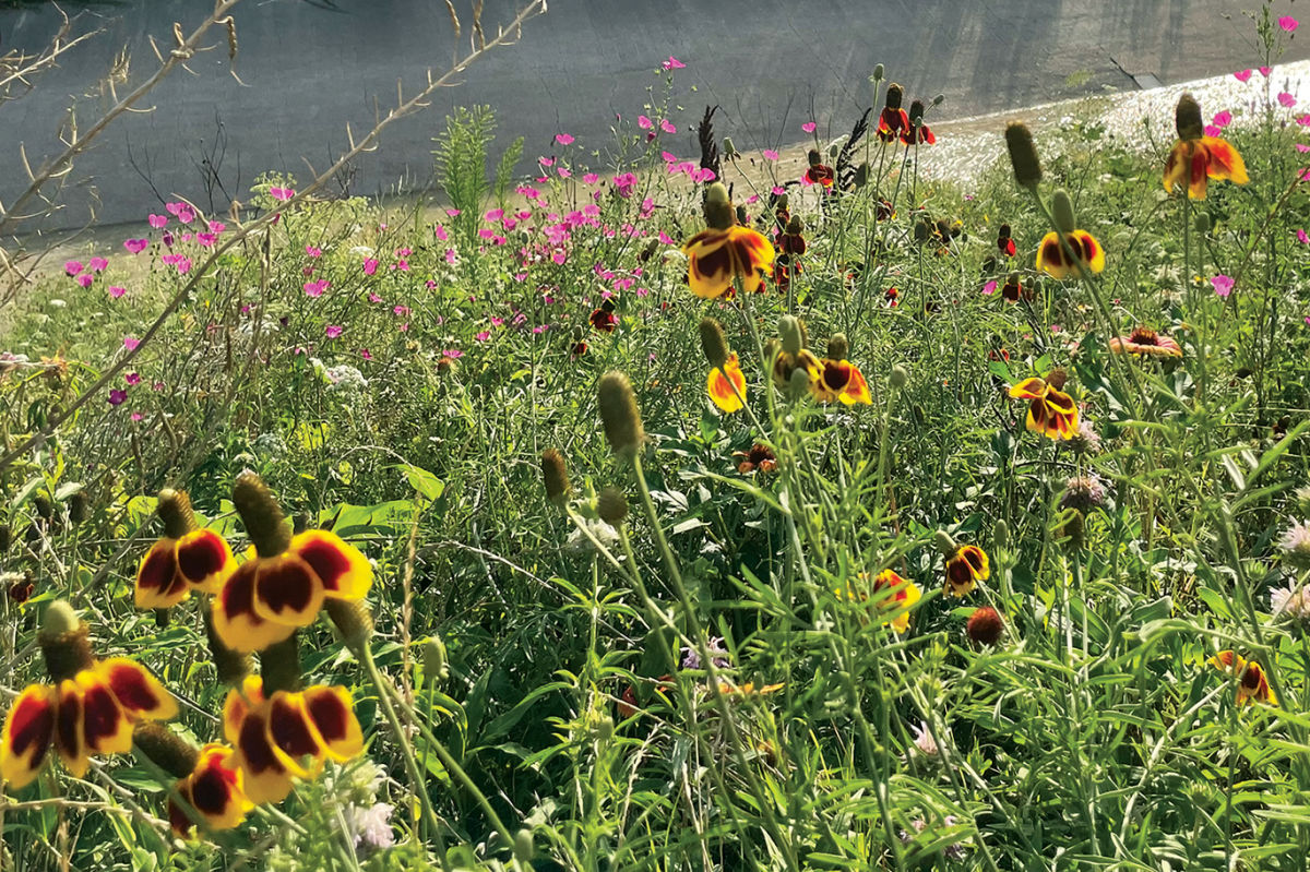 Houston’s Favorite Spring Traditions | Houstonia Magazine