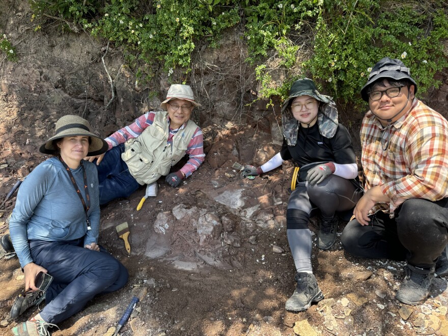 Researchers from UT Austin and the Korean Dinosaur Center with a possible dinosaur skeleton on Aphae Island. From left to right: Julia Clarke, Min Huh, Hyemin Jo, Jongyun Jung.