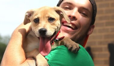 Parks Mall Mobile Adoption Event