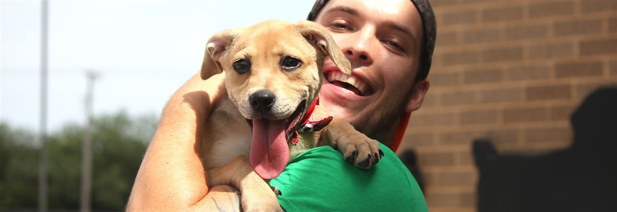 Parks Mall Mobile Adoption Event