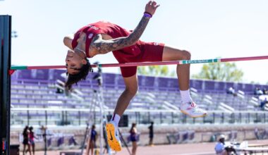 Louisiana State University Logo