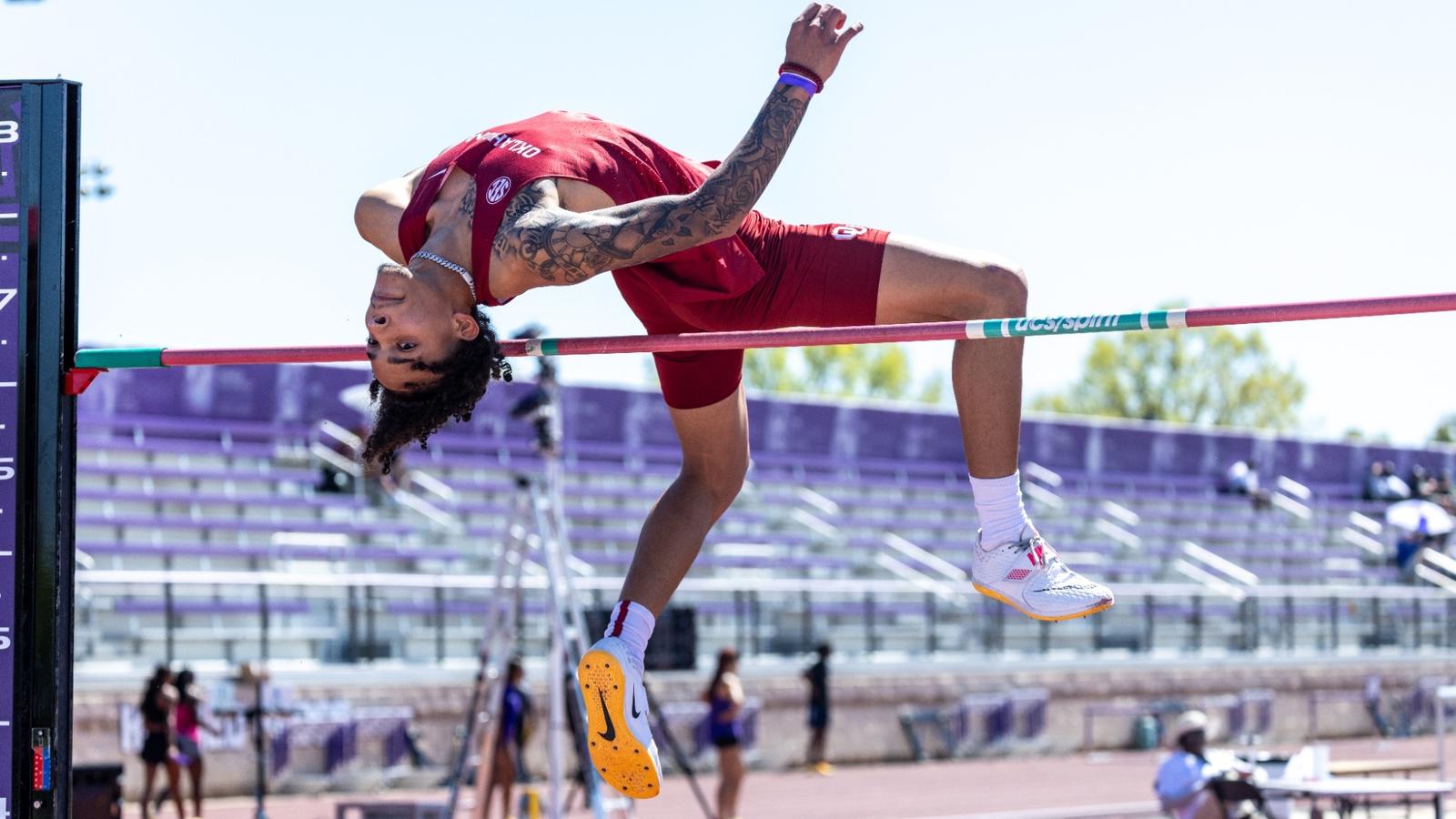 Louisiana State University Logo