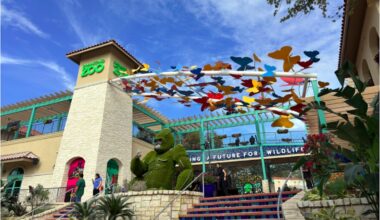 USA Today readers rank San Antonio Zoo the nation's seventh-best