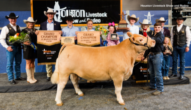 Grand Champion Junior Market Steer sells for record $1.5 million at 2026 Houston Livestock Show and Rodeo