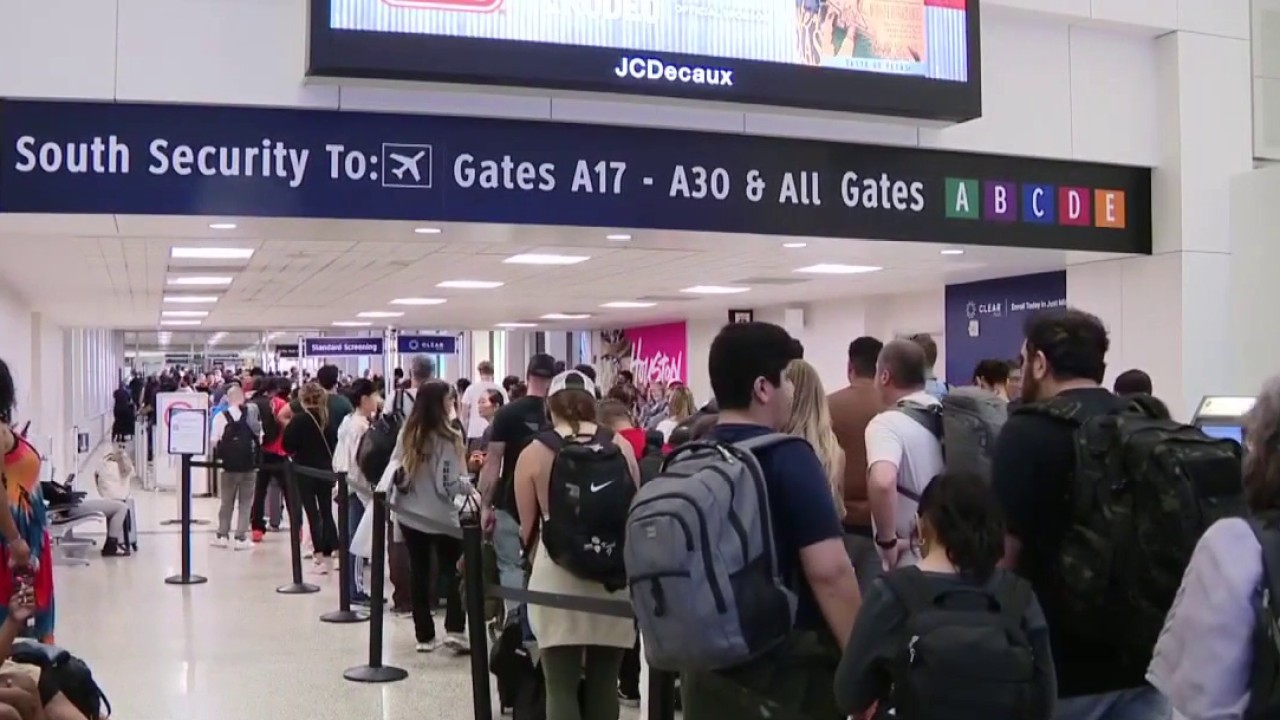 ICE agents may assist TSA at airports during delays
