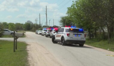 Harris County man killed in shooting on McAulty Road