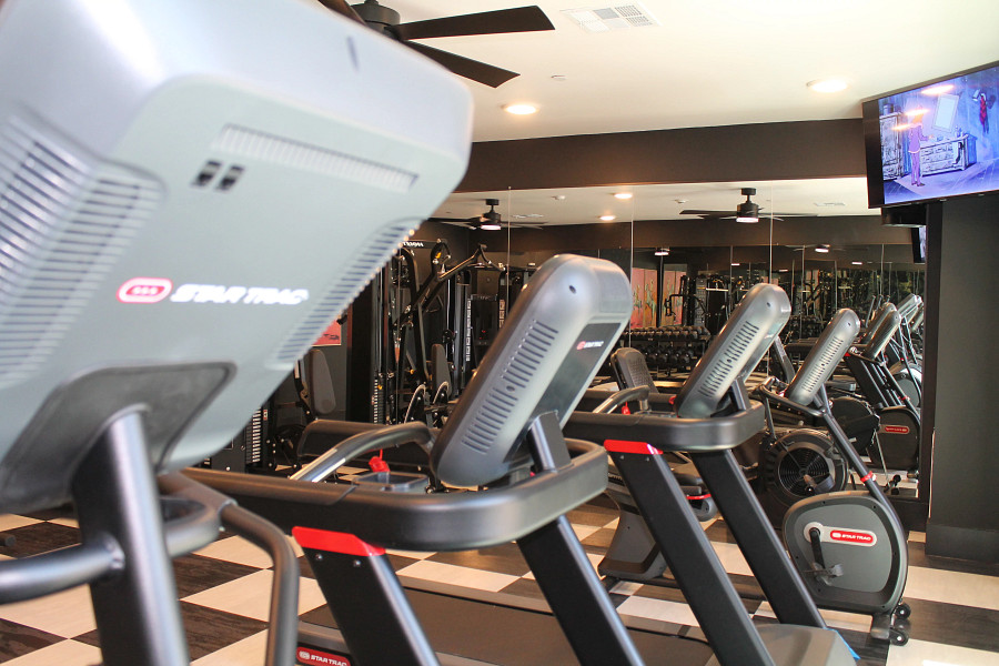 Image shows new fully equipped gym, complete with weight machines and a row of treadmills and bikes. The far wall is lined with mirrors.