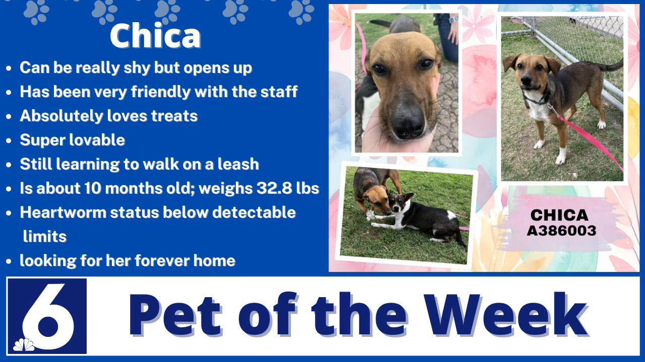 Pet of the Week: Chica 