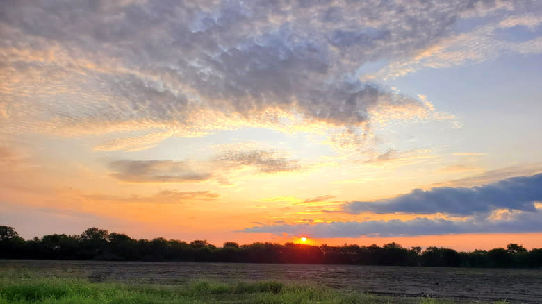 A sunrise over a field in Melissa, TX