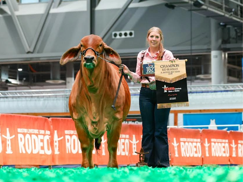 Liberty FFA students shine at Houston Livestock Show