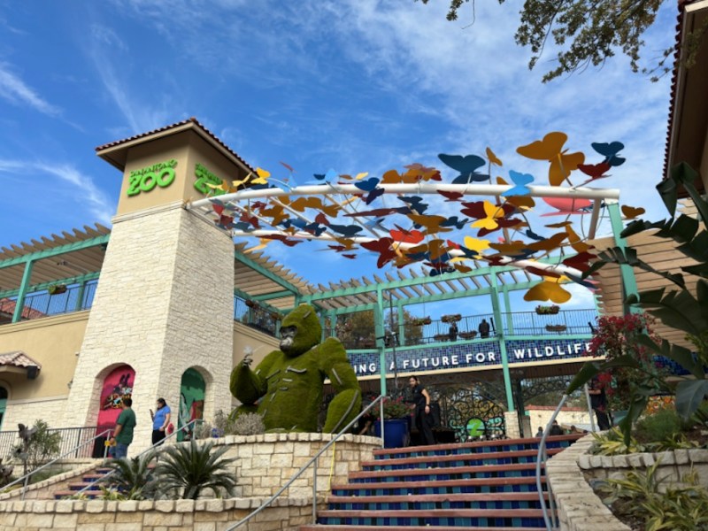 USA Today readers rank San Antonio Zoo the nation’s seventh-best