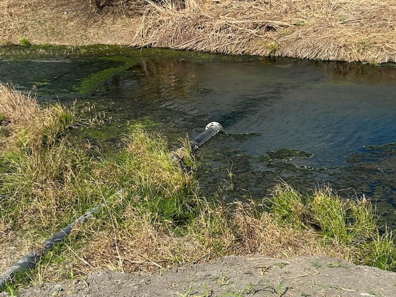 Texas officials didn’t know Elon Musk’s Tesla was discharging lithium wastewater into a ditch