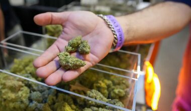 Boomtown Vapor files lawsuit against Texas DSHS over Total THC rules