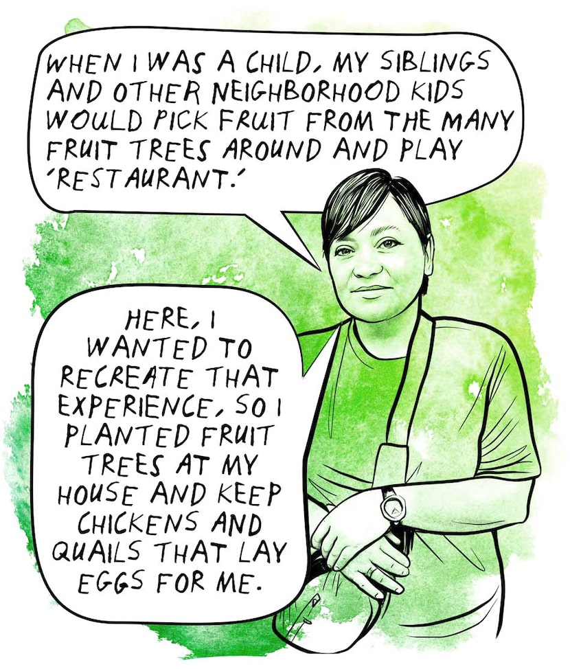 “When i was a child, my siblings and other neighborhood kids would pick fruit from the many...