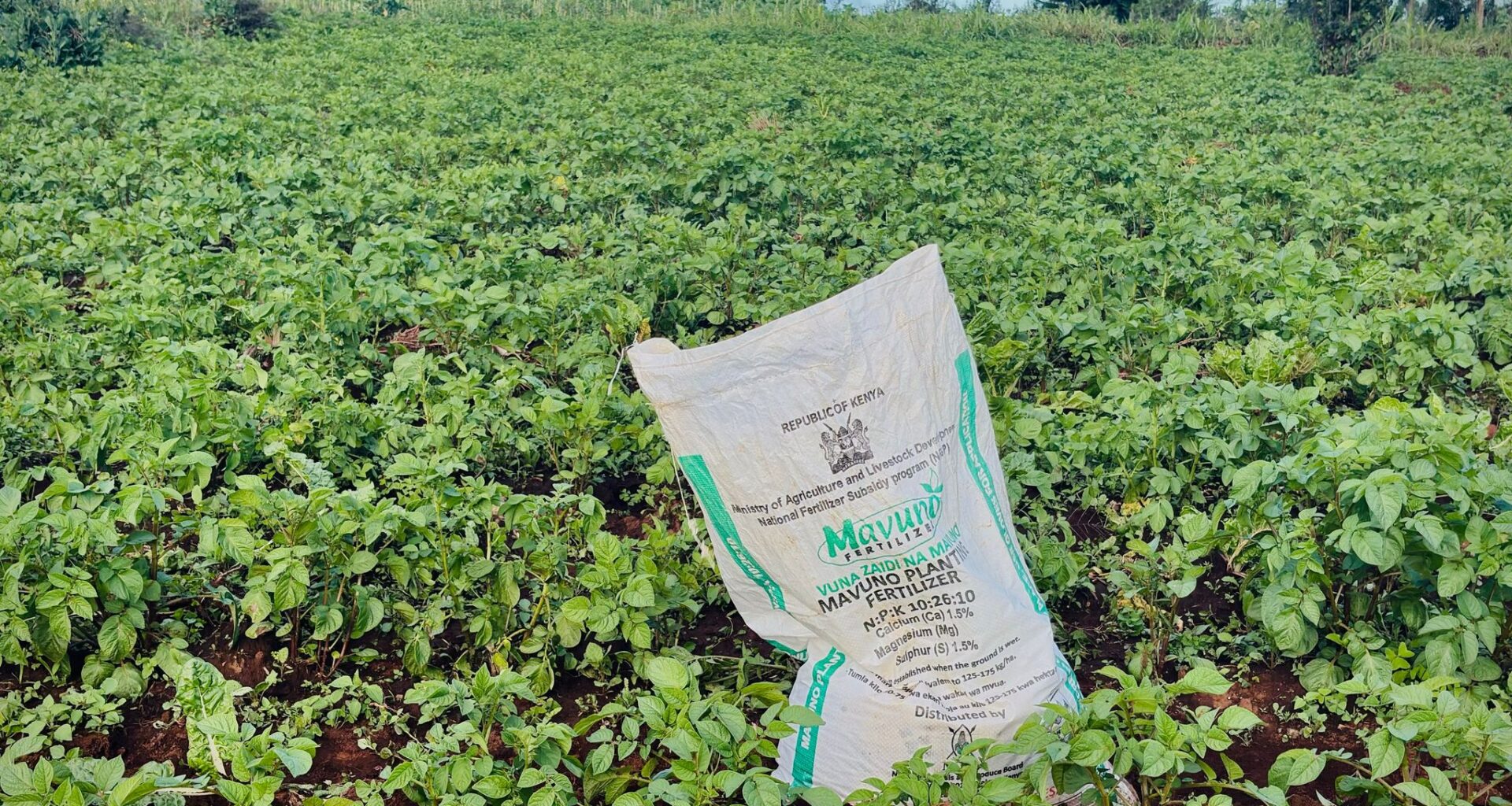 The war in Iran sparks a global fertilizer shortage and threatens food prices