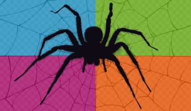 America's Largest Arachnid Exhibit Comes to River Legacy Nature Center