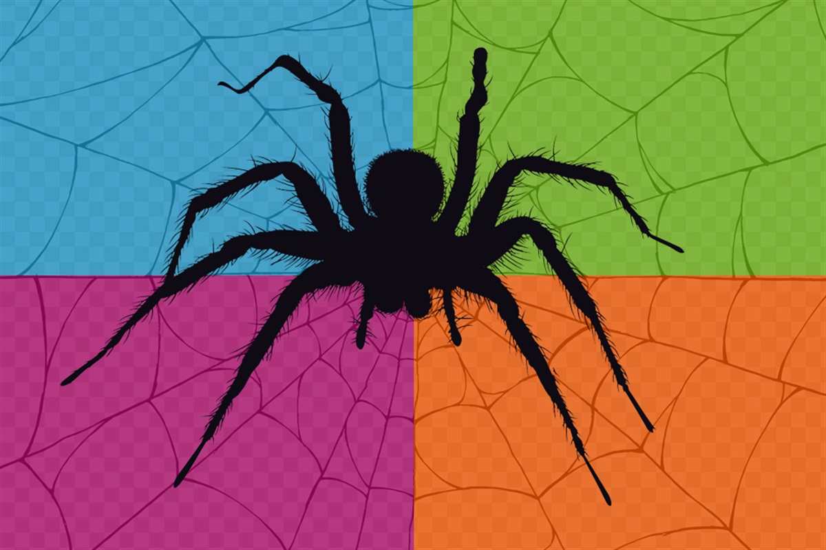 America's Largest Arachnid Exhibit Comes to River Legacy Nature Center