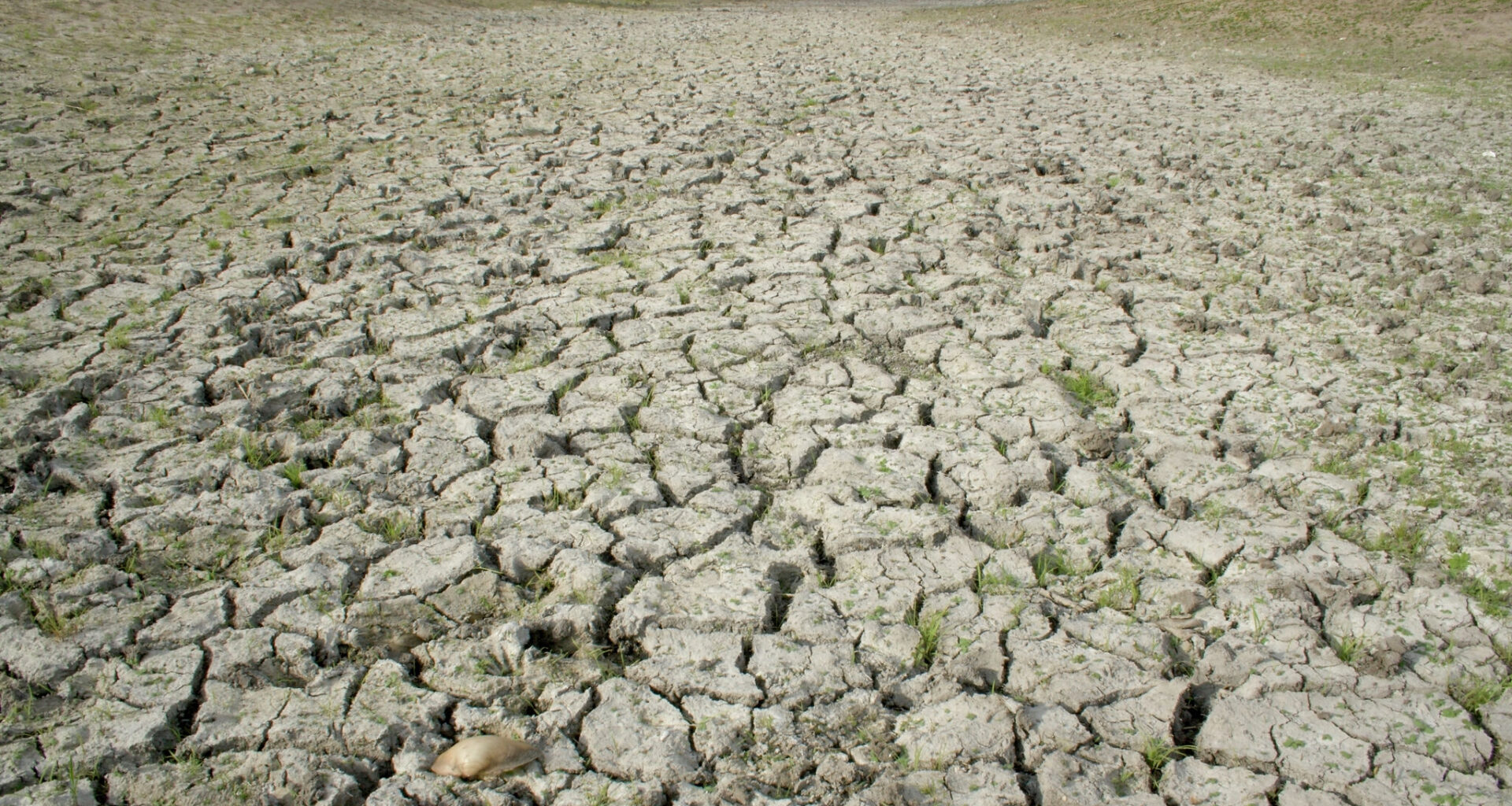 Reservoir dispute explodes between two South Texas cities