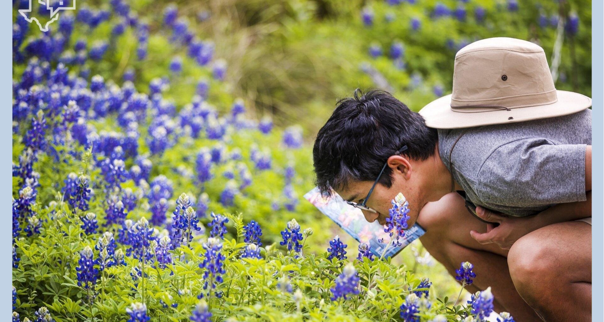 How Texas keeps highways covered in bluebonnets and wildflowers