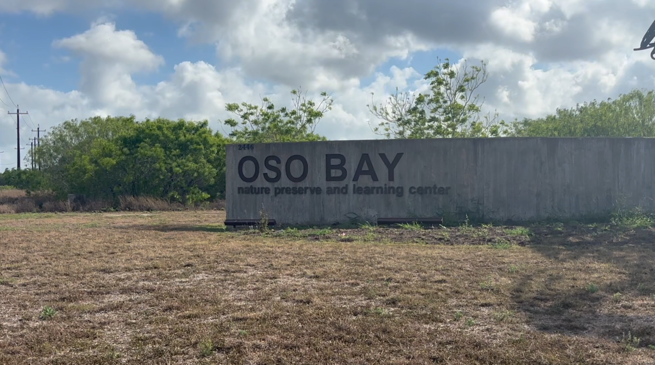 Oso Bay Preserve